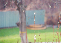 意甲知名记者：若不是米兰输给克雷莫内塞，拉比奥特可能来不了，现在米兰内洛的氛围非常好