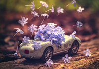 切尔西1-1阿森纳战平引发连锁反应，图赫尔面临2026世界杯排兵难题